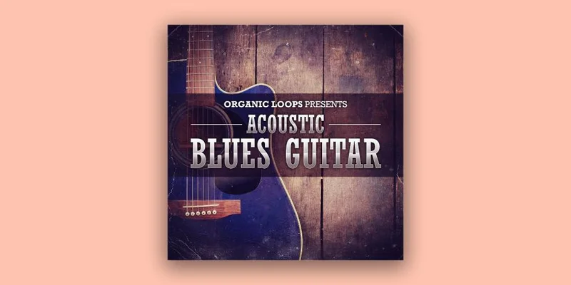Organic Loops Acoustic Blues Guitar interface