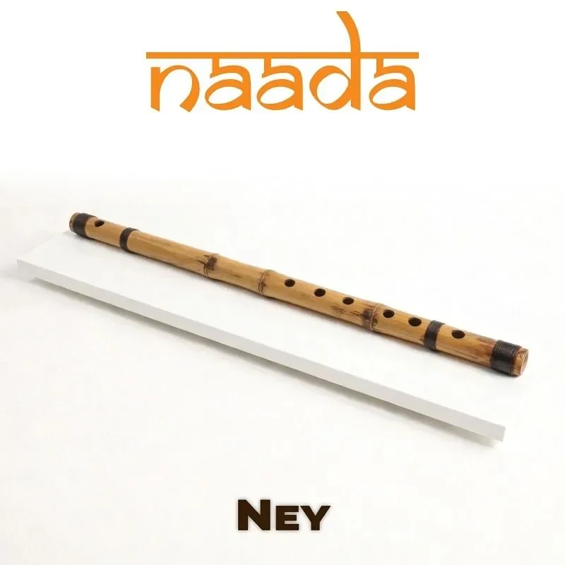 moForte GeoShred Naada Ney for Mac interface