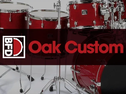 BFD Expansions: Oak Custom interface
