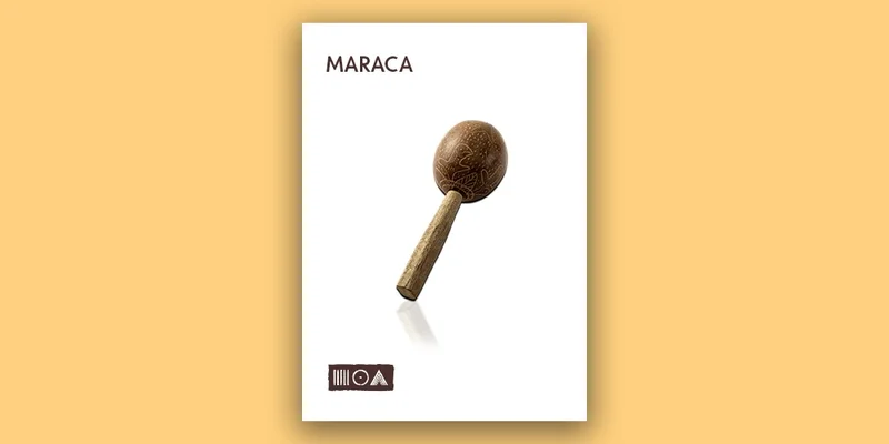 Sounds of the Earth Maraca interface