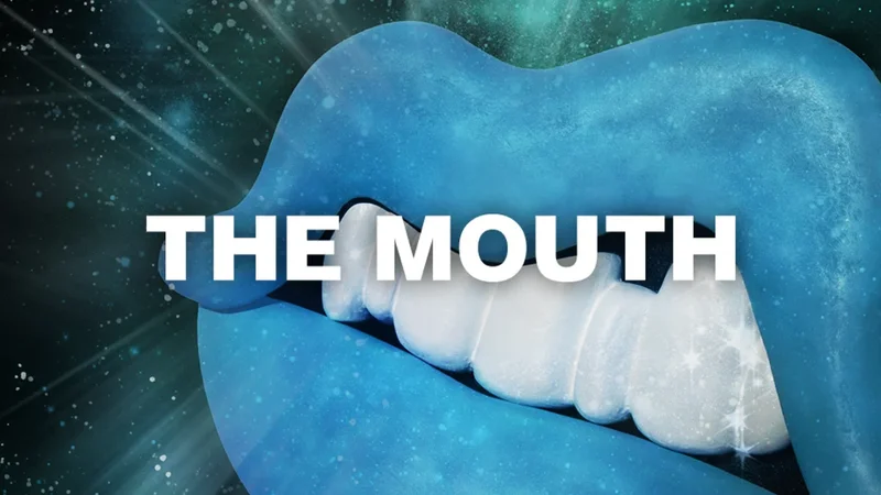 Native Instruments THE MOUTH interface