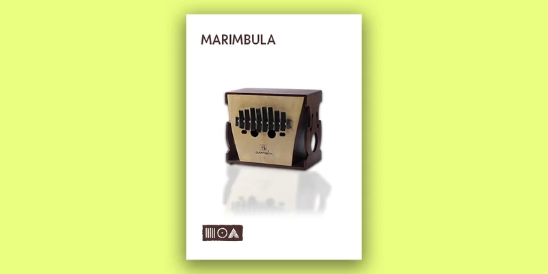 Sounds of the Earth Marimbula interface