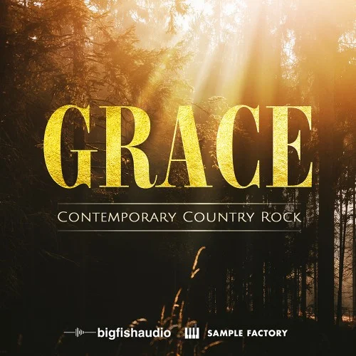 Big Fish Audio Grace: Contemporary Country Rock interface