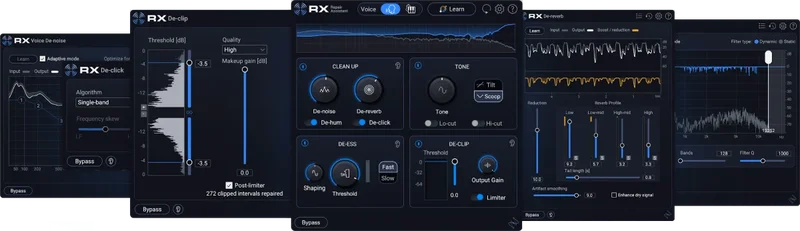 iZotope RX12 Elements interface