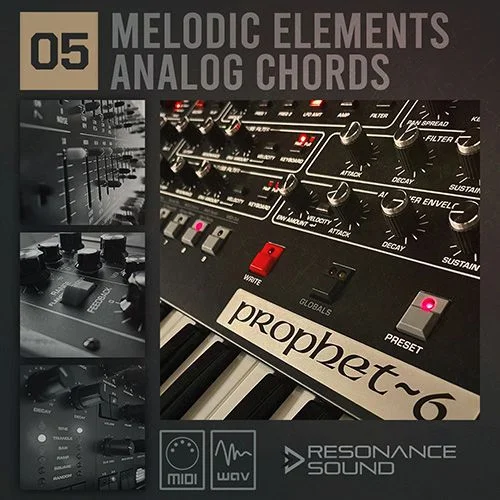 Resonance Sound RS Melodic Elements 05 - Analog Chords interface