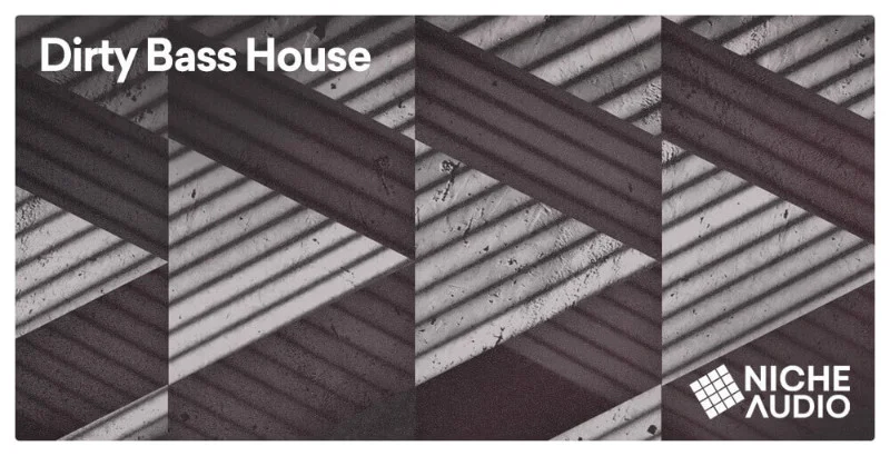 Niche Audio Dirty Bass House Wav Pack interface