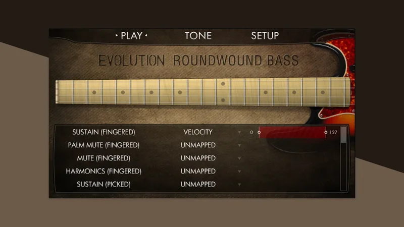Native Instruments EVOLUTION ROUNDWOUND BASS interface