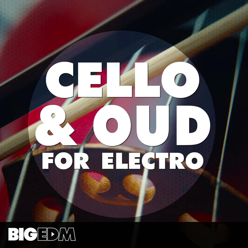 W. A. Production Cello & Oud For Electro interface