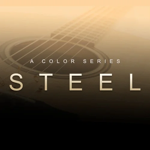 Evolution Series Prepared Colors Steel interface