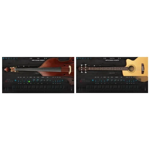Ample Sound Ample 2in1 Acoustic Bass Bundle interface