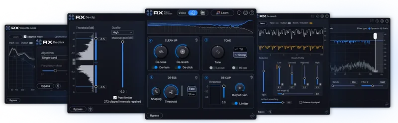 iZotope RX 12 Elements Educational Version interface