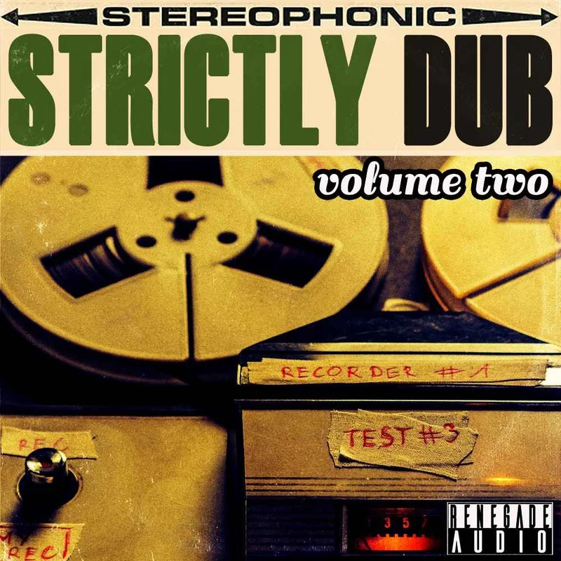 Renegade Audio Strictly Dub Volume Two interface