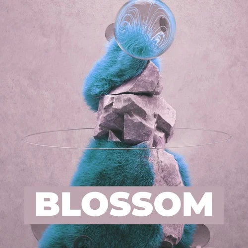Rast Sound RS Blossom interface