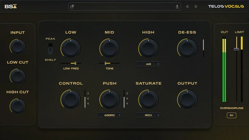 Black Salt Audio Telos - Vocals interface