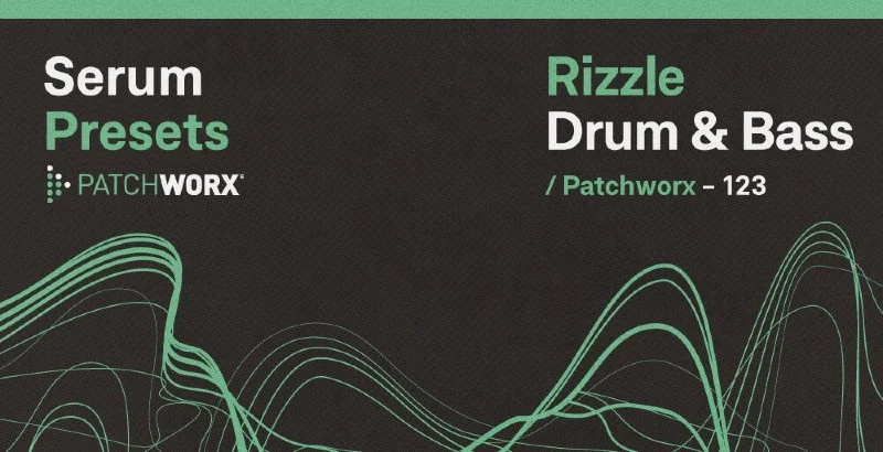 Loopmasters Patchworx Rizzle DnB - Serum Presets interface