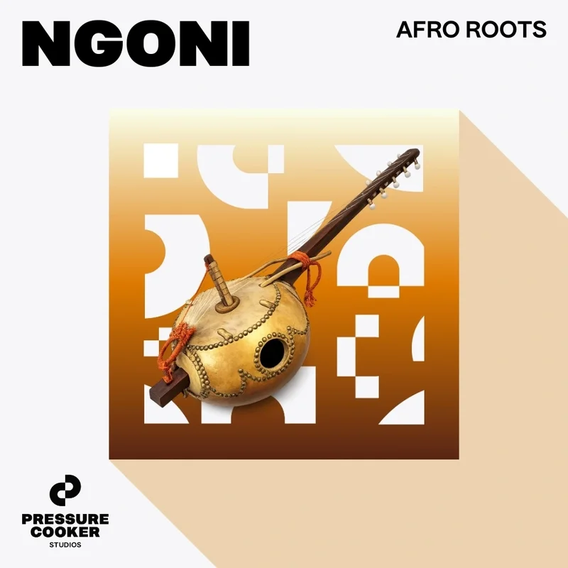 Pressure Cooker Studios Afro Roots - Ngoni interface