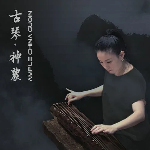 Ample Sound Ample China Guqin - ACGQ interface