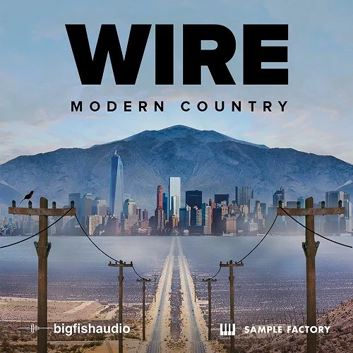 Big Fish Audio Wire: Modern Country interface
