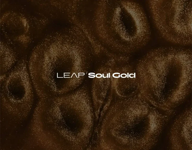 Native Instruments Leap Expansion - Soul Gold interface