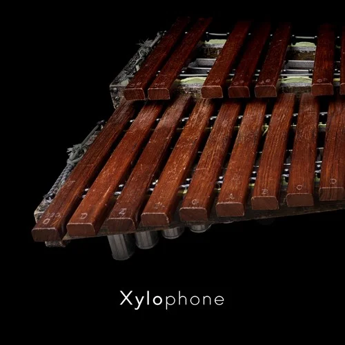 Soniccouture Xylophone interface
