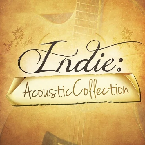 Big Fish Audio Indie: Acoustic Collection interface