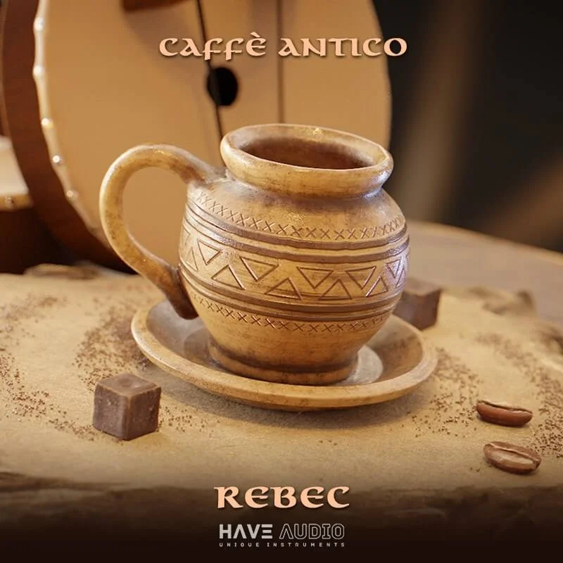 Have Audio Rebec interface