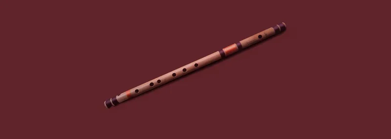 Soundpaint Bansuri Virtuoso interface