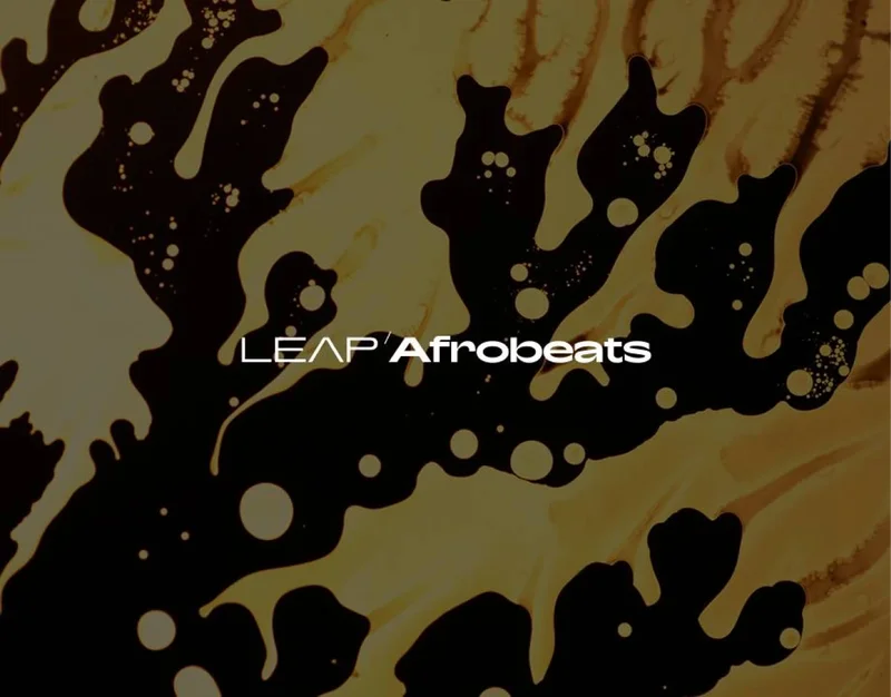 Native Instruments Leap Expansion - Afrobeats interface