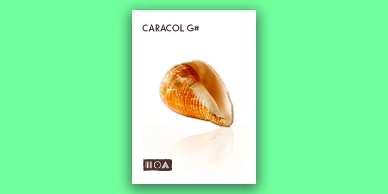 Sounds of the Earth Caracol G# interface