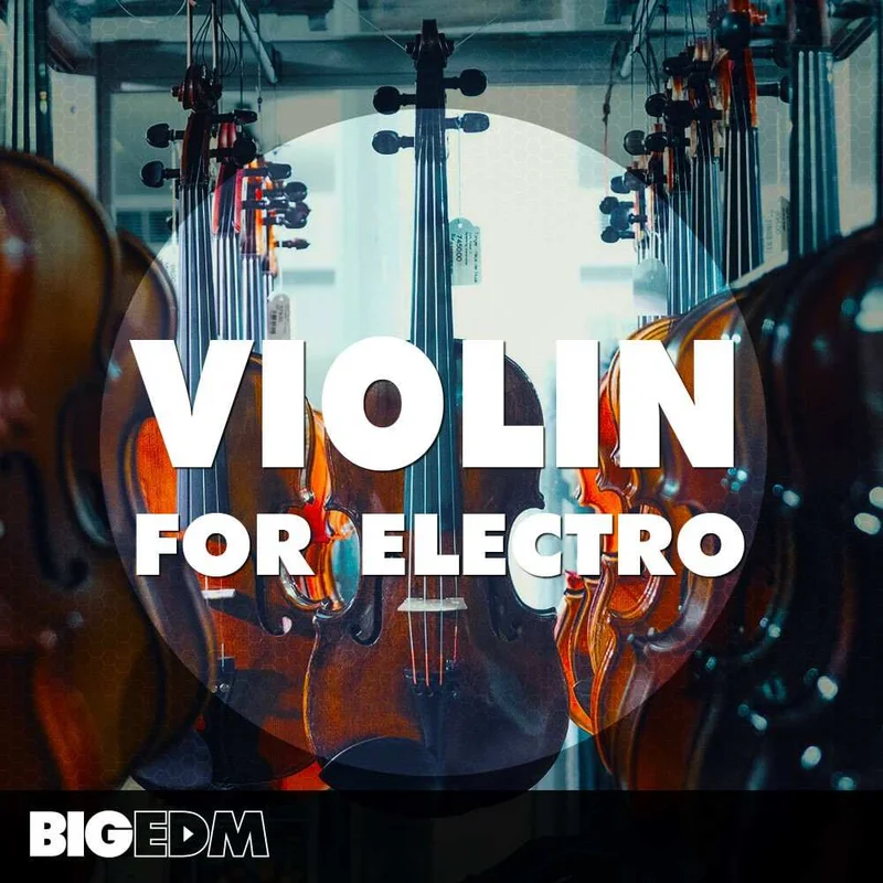 W. A. Production Violin for Electro interface
