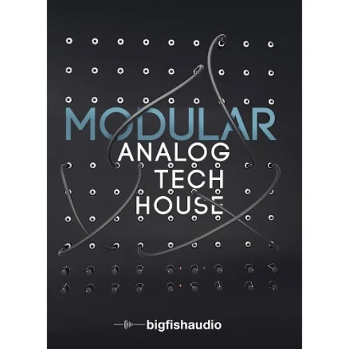 Big Fish Audio Modular: Analog Tech House interface
