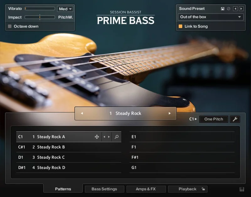 Native Instruments Session Bassist - Prime Bass interface