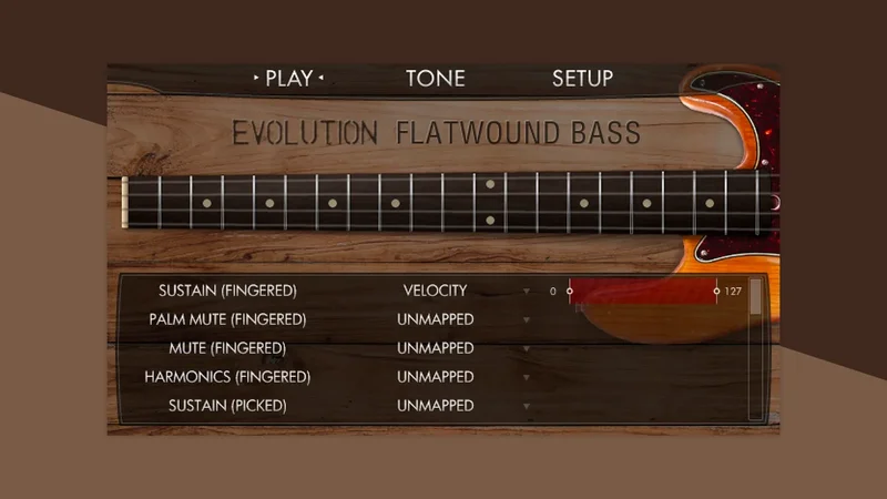 Native Instruments EVOLUTION FLATWOUND BASS interface