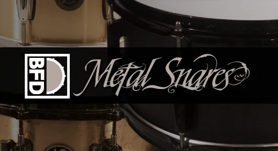 BFD Expansions: Metal Snares interface