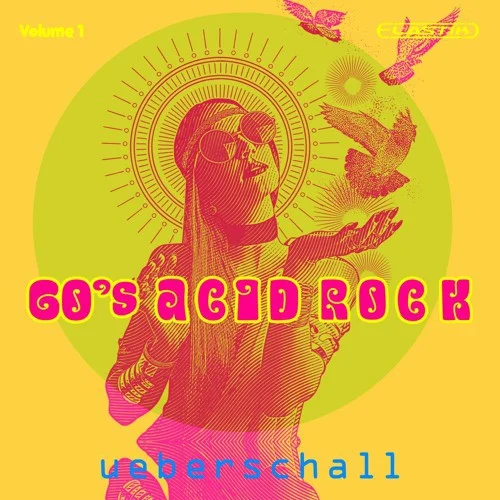 Ueberschall 60s Acid Rock Vol.1 interface
