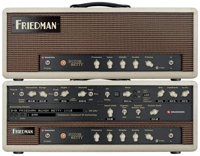 Universal Audio Friedman Buxom Betty Amplifier interface