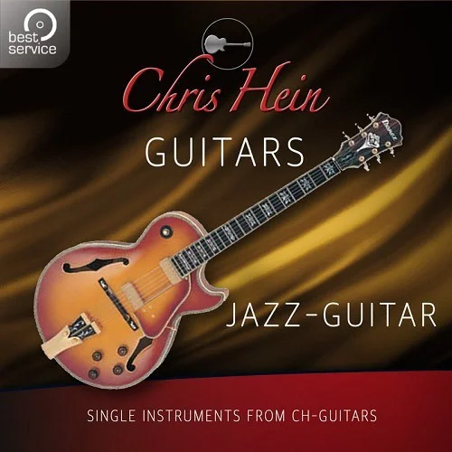 Best Service Chris Hein Guitars - Jazz-Guitar interface