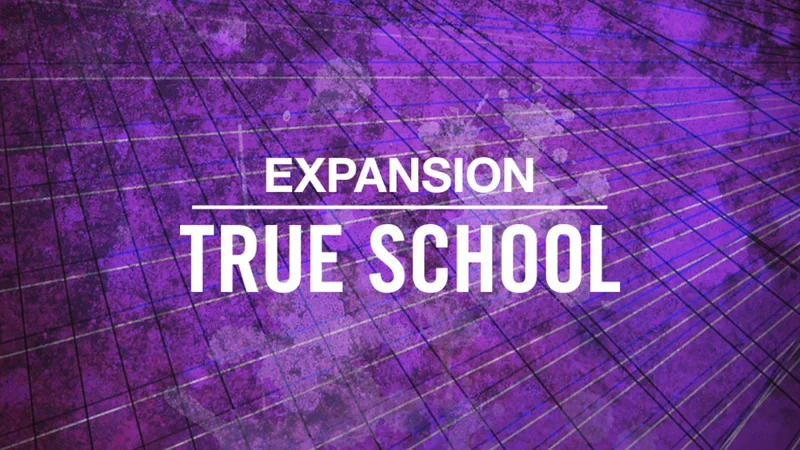 Native Instruments TRUE SCHOOL interface