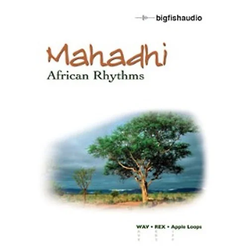 Big Fish Audio Mahadhi - African Rhythms interface