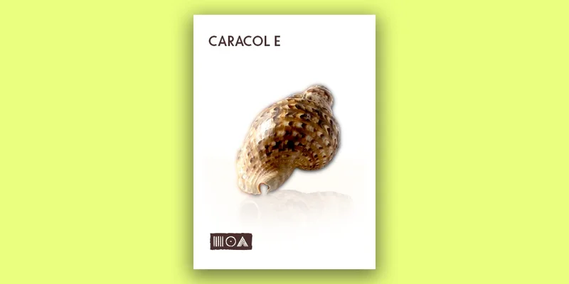 Sounds of the Earth Caracol E interface