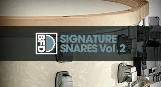 BFD BFD Signature Snares Vol. 2 interface