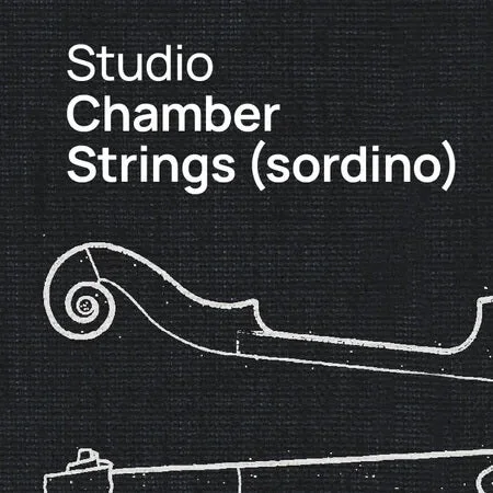 VSL Studio Chamber Strings Sordino interface