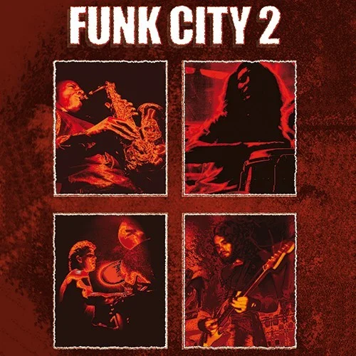Big Fish Audio Funk City 2 interface