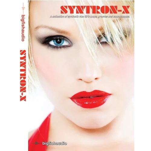 Big Fish Audio Syntron-X interface
