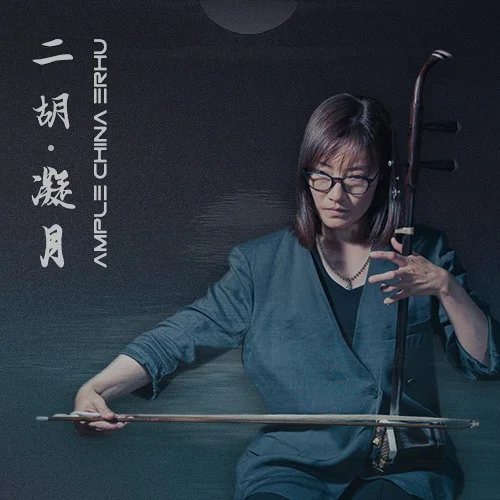 Ample Sound Ample China Erhu - ACEH interface