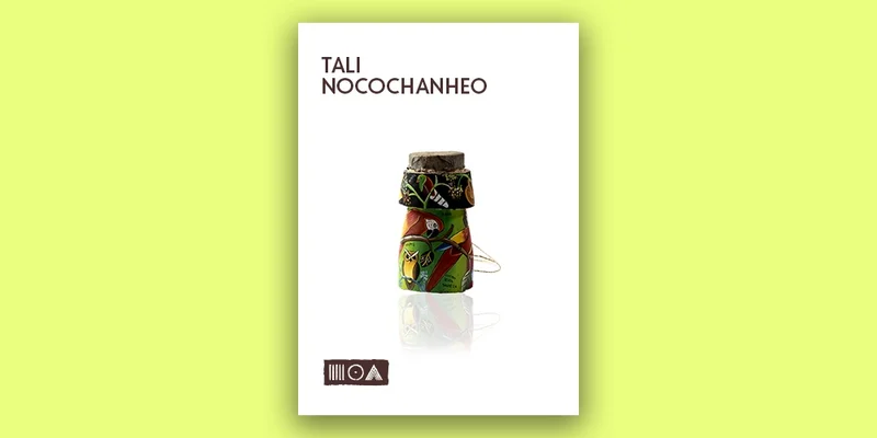 Sounds of the Earth Tali Nocochanheo interface
