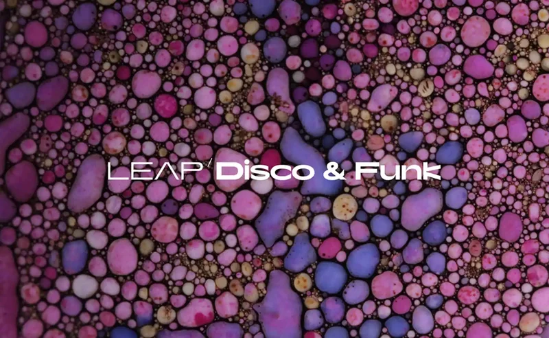 Native Instruments Leap Expansion - Disco and Funk interface