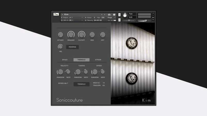 Kim interface
