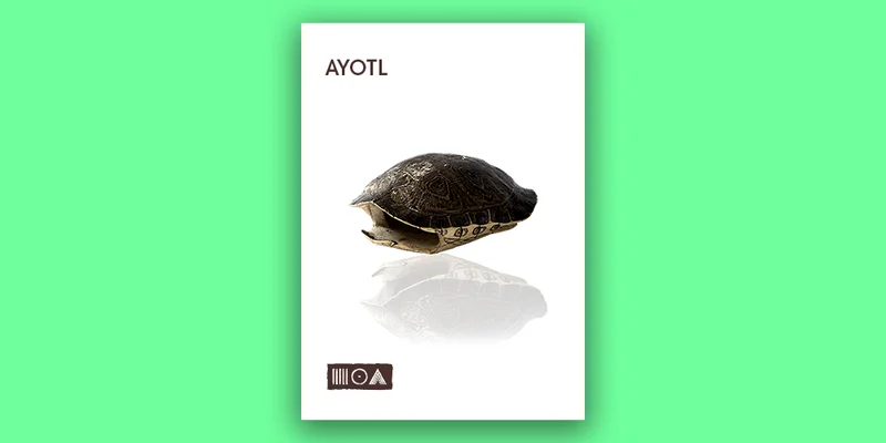 Sounds of the Earth Ayotl interface