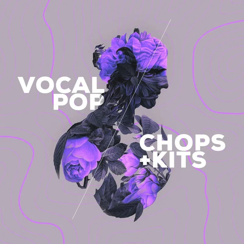 Audiomodern Vocal Pop interface